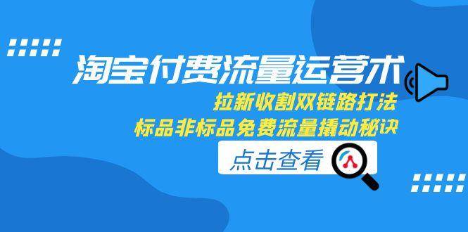 (6.20)淘宝付费流量运营术，拉新收割双链路打法，标品非标品免费流量撬动秘诀